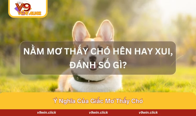 mo thay cho danh con gi 1 Tìm hiểu về ý nghĩa giấc mơ thấy chó