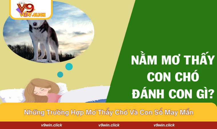 mo thay cho danh con gi 2 Nằm mộng thấy chó con và dấu hiệu cho sự vui vẻ và tích cực