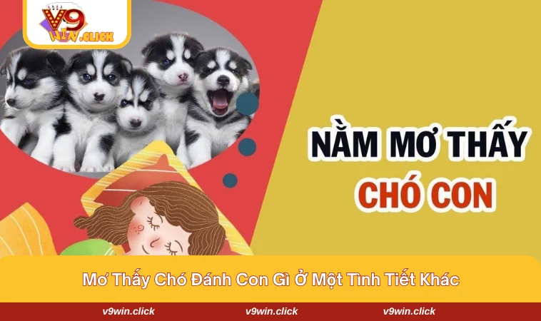 mo thay cho danh con gi 3 Mơ thấy chó đánh con gì với các tình tiết khác